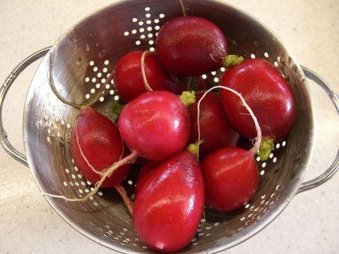 تزئین تربچه به شکل گل رُز (آموزش تصویری)