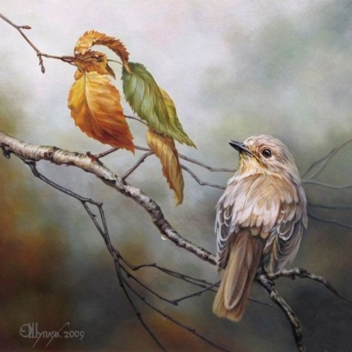 Oleg-Shuplyak-5-498x497