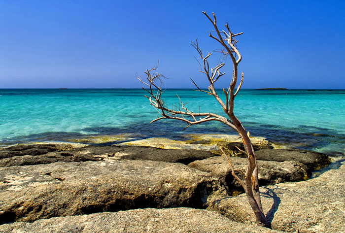 nature-crete-photos (1)