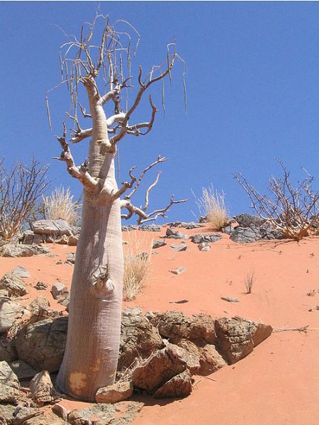 تصفیه