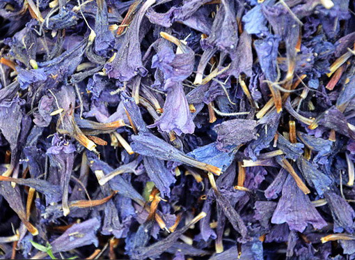 گل گاوزبان