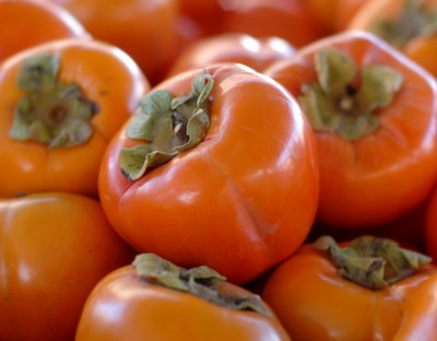 خرمالو Persimmons