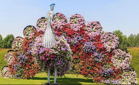 باغ معجزه دبی - بزرگترین باغ گل جهان