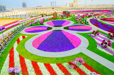 Dubai-Miracle-Garden-191