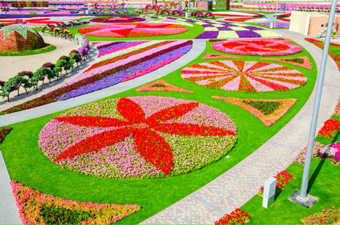 Dubai-Miracle-Garden-201