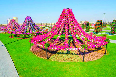 Dubai-Miracle-Garden-121