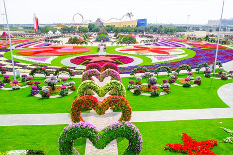 miracle-garden11