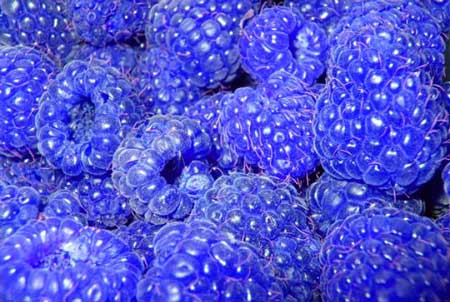خوراکی های رنگ آبی - مواد غذایی - دانستنیهای علمی - بیشتر بدانید علمی خوراکی های رنگ آبی - مواد غذایی - دانستنیهای علمی - بیشتر بدانید علمی