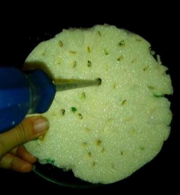 درست کردن سبزه مصنوعی , سبزه عید , سبزه سفره هفت سین