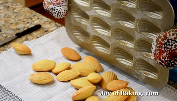 شیرینی مادلین , شیرینی مدلین