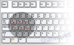 تغییر رنگ اعراب,نرم افزار word,رنگی کردن حرکت حروف