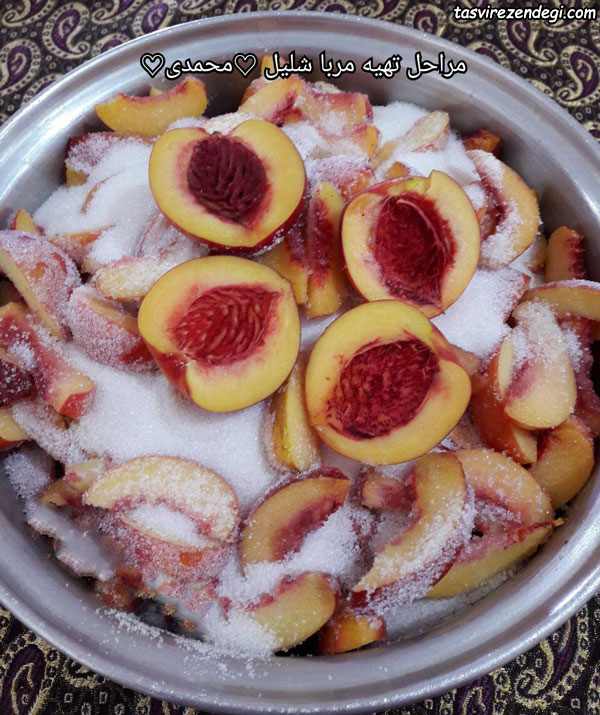 مربای شلیل