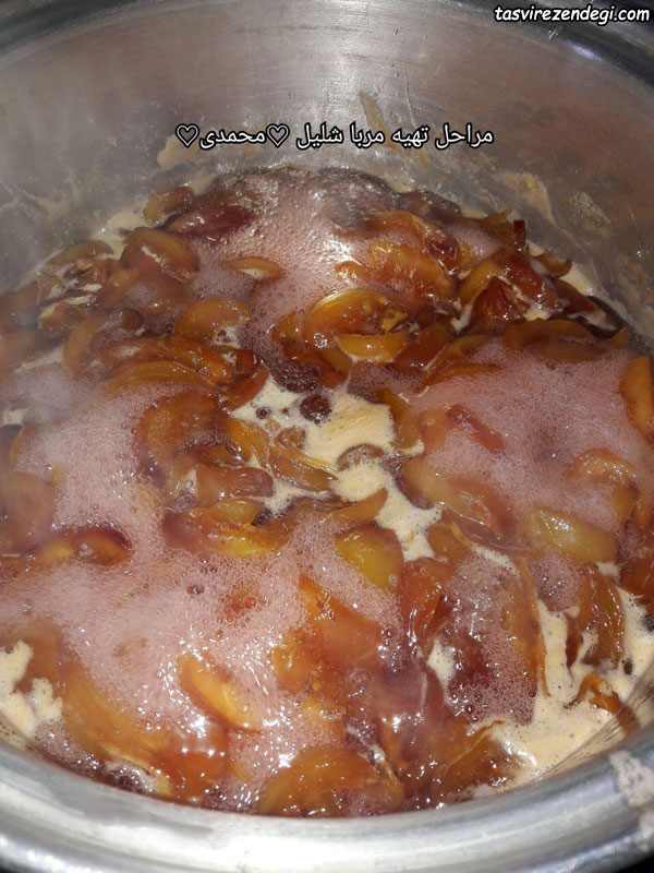 مربای شلیل