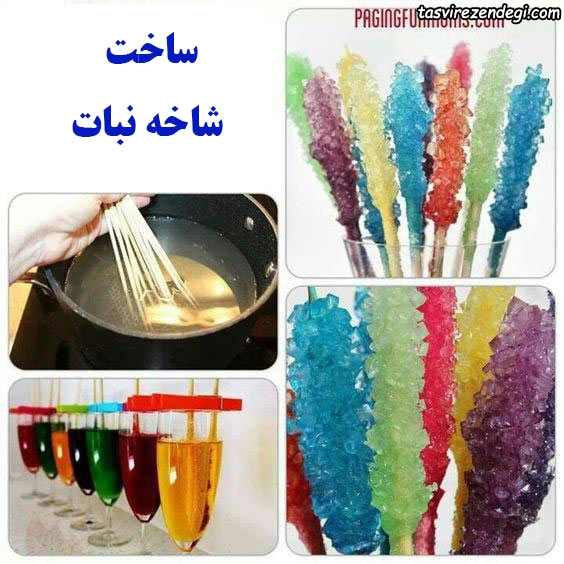 ساخت شاخه نبات