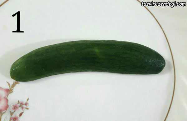 دورچین غذا , تزیین خیار و گوجه