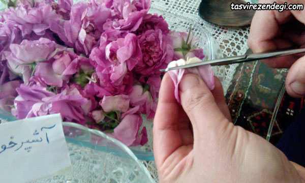 مربای گل محمدی با گل تازه