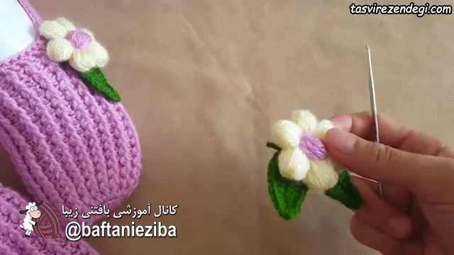آموزش بافت برگ