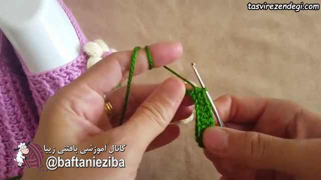 آموزش بافت برگ