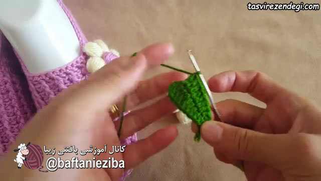 آموزش بافت برگ