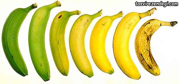 جلوگیری از سیاه شدن موز