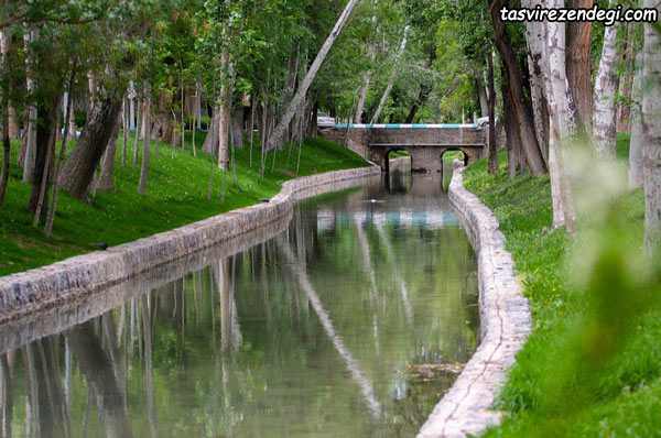 مادی اصفهان
