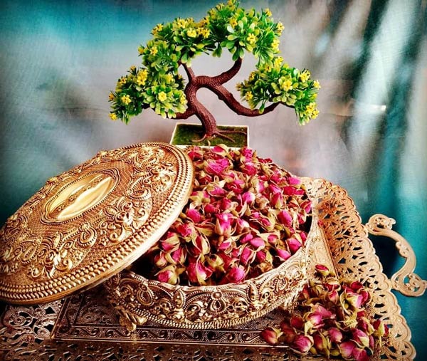 غنچه گل محمدی