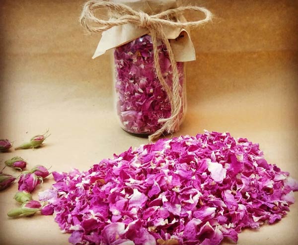 خشک کردن گلبرگ گل محمدی