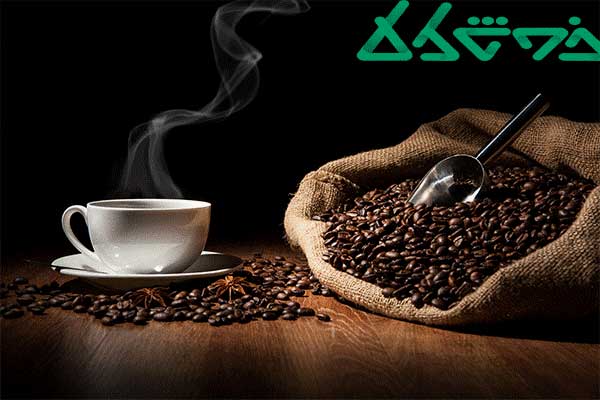 خرید قهوه عربیکا از خوش کالا