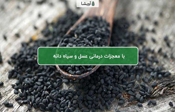 آشنایی با معجزات درمانی عسل و سیاه دانه • مجله تصویر زندگی