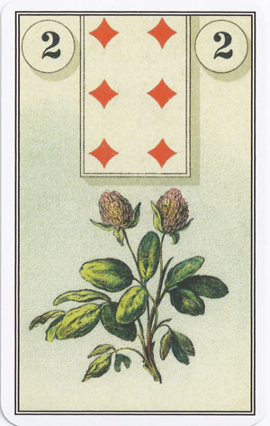کارت گل شبدر (clover) در فال لنورماند