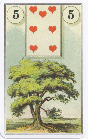 کارت درخت (Tree) در فال لنورماند