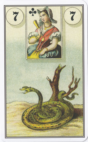 کارت مار (Snake) در فال لنورماند
