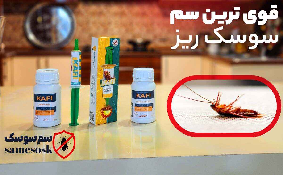 قوی ترین سم سوسک ریز برای از بین بردن سوسک کابینت