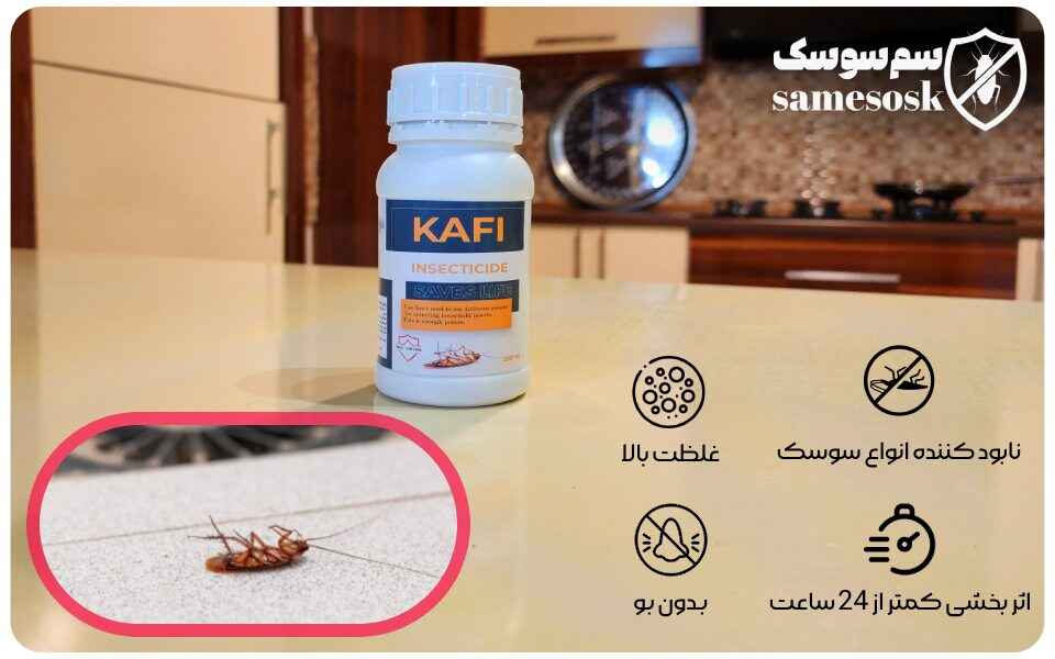 سم سوسک کش کافی – Kafi : قویترین سم برای سمپاشی سوسک کابینت