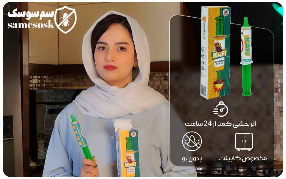 خمیر سوسک کش کافی – Kafi : بهترین مارک خمیر سوسک کش