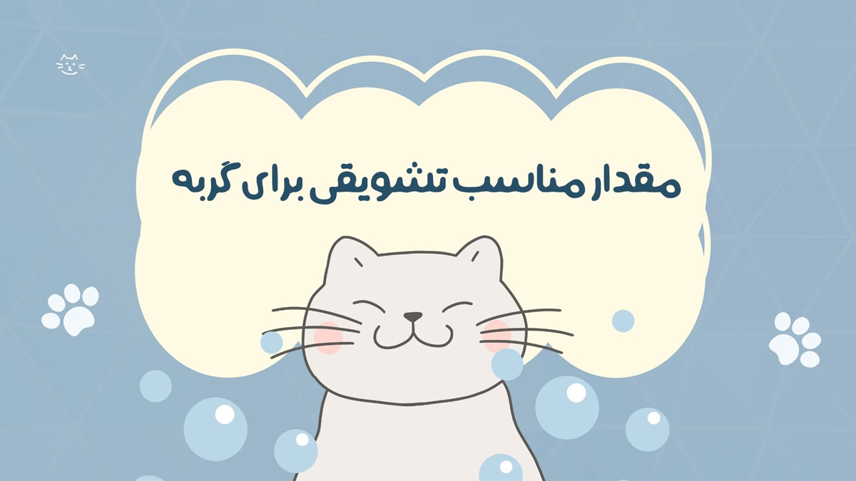 مقدار مناسب تشویقی برای گربه