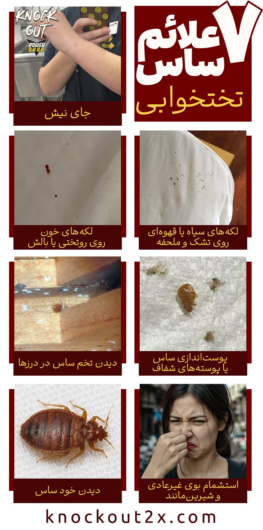 7 علائم ساس در منزل | نشانه های حضور ساس در خانه