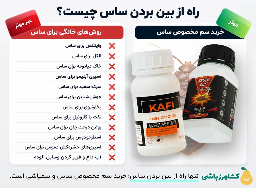 راه ساده از بین بردن ساس چیست؟