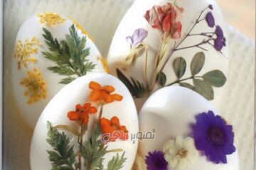 ایده های جالب برای تزیین تخم مرغ هفت سین