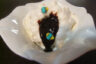 طرز تهیه بستنی پلمبیر (Plombières ice cream)