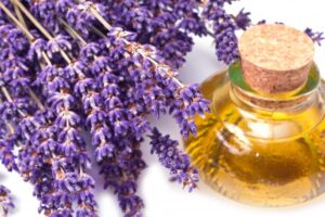 روغن اسطوخودوس , روغن لاوندر