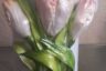 طرز تهیه خمیر فرانز / تزیین ظرف + فیلم