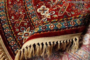 آنچه باید درباره شستشوی فرش در منزل و لکه زدایی آن بدانیم