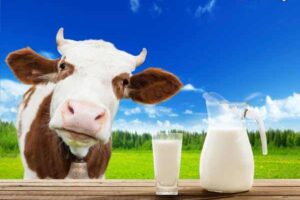 روش تشخیص شیر تقلبی از شیر سالم