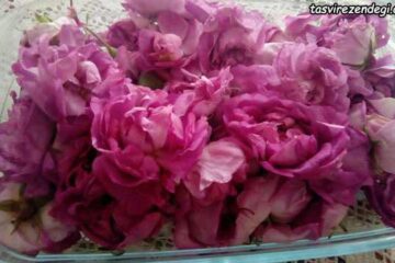 طرز تهیه مربای گل محمدی تازه خوشرنگ [ تصاویر مرحله به مرحله ]