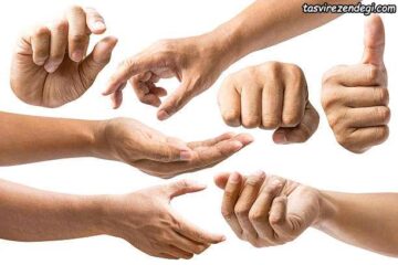 تقویت انگشت ها و دست با چند تمرین ساده (ورزش دست)