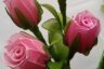 آموزش ساخت شاخه گل رز جورابی زیبا هدیه ای برای یک دوست