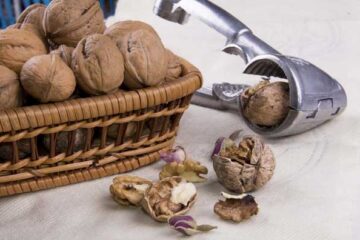 خرید گردو با پوست خشک تویسرکان؛ نکات و قیمت‌ها