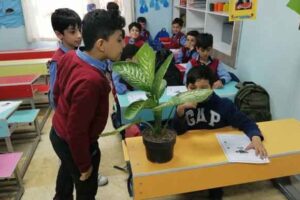 مزایای باغبانی برای دانش آموزان