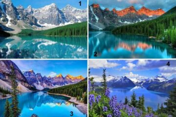 شخصیت شناسی: به نظر شما کدام منظره زیباتر است؟
